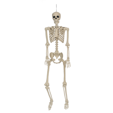 SEASONS USA Pose N Stay Skeleton 5' W81034